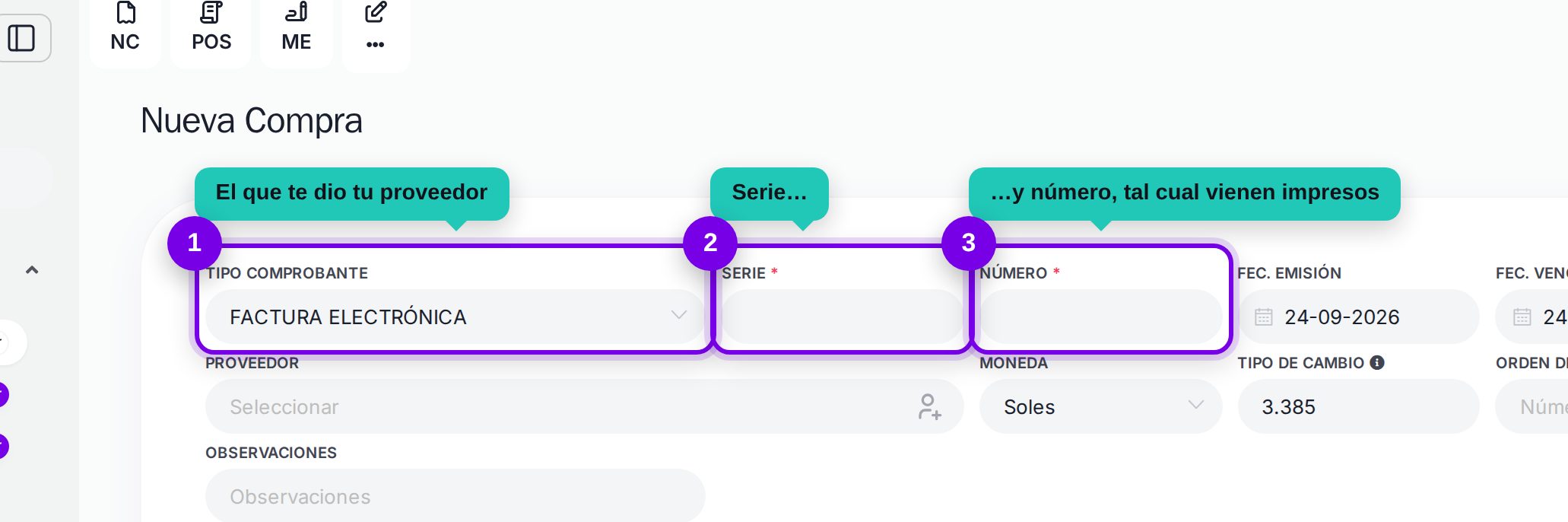 Tipo de comprobante, serie y número señalados