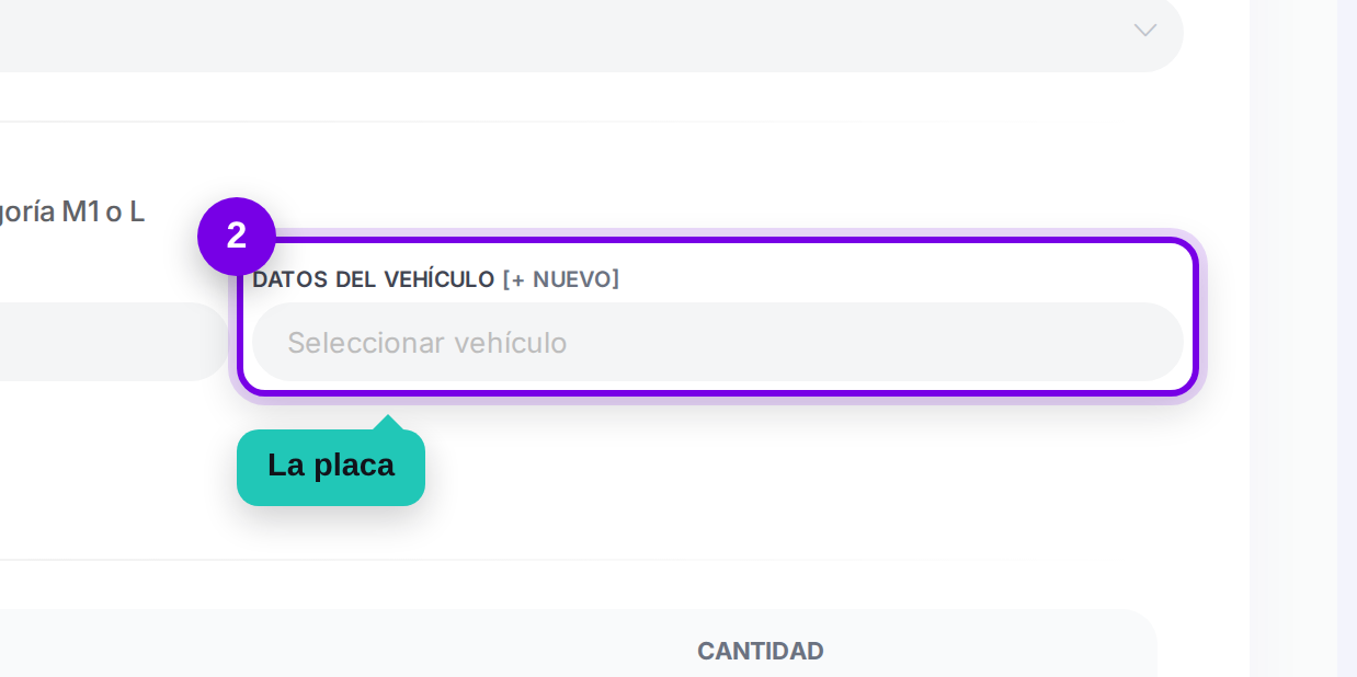 Datos del conductor y del vehículo señalados