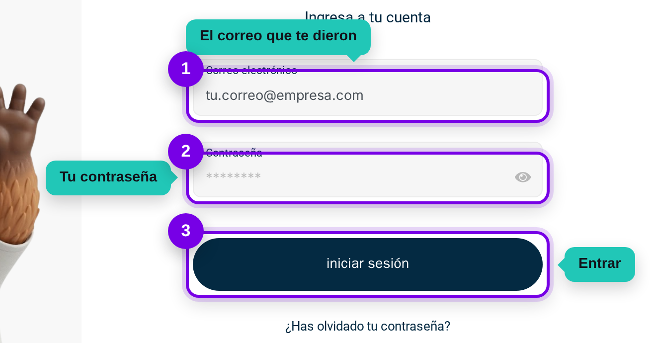 Pantalla de ingreso con el correo, la contraseña y el botón de iniciar sesión señalados