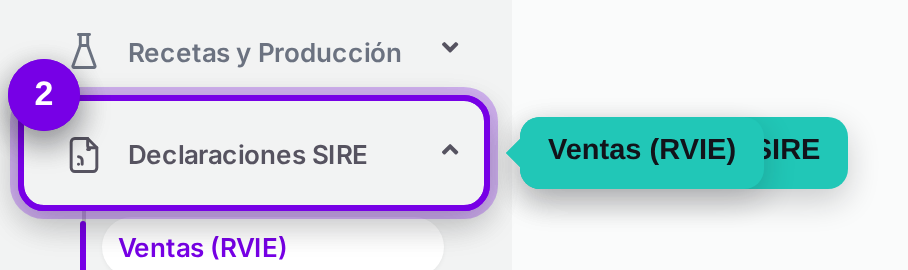 Camino en el menú hacia las declaraciones SIRE